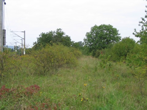 Brcke bei Arenshausen