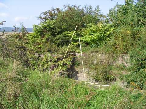 Brcke bei Arenshausen