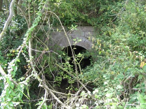 Durchlass der Steinfurth