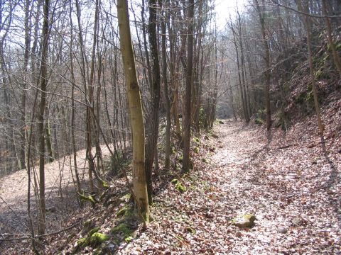 Abzweig der Nebenstrecke