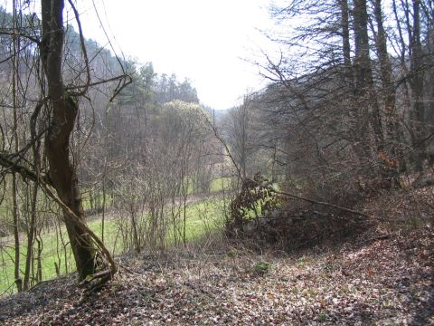 Trasse zum Steinbruch
