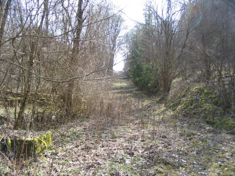 Trasse zum Steinbruch