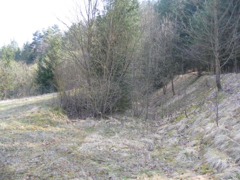 Trasse der Werksbahn