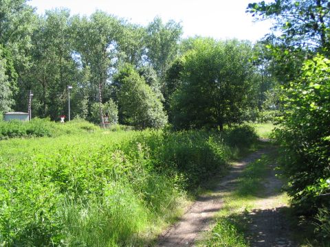 Brcke ber einen Graben