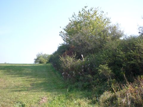 Ende des ehemaligen ersten Einschnitts