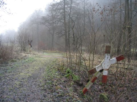 Bahnbergang hinter der Rodebachsmhle