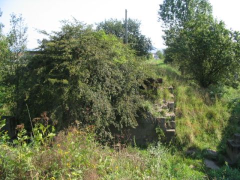 Damm im Werrabereich