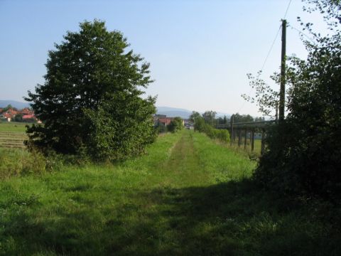 Damm im Werrabereich