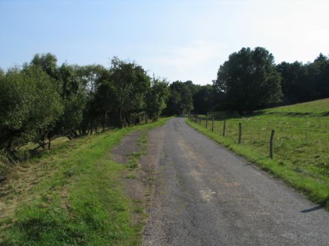 Auffahrt nach Farnroda