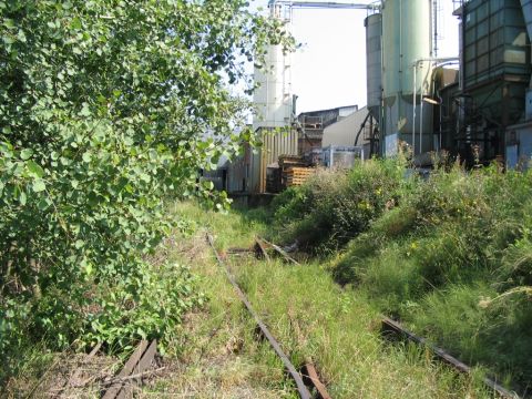 Weiche Firma Winter in Laubach