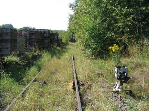 Firma Winter in Laubach