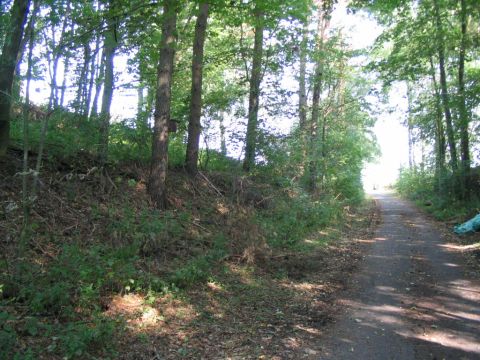 Nordportal des alten Freienseener Tunnels