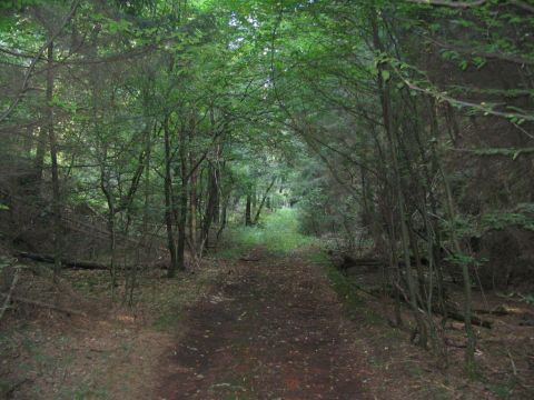 S�dportal des alten Freienseener Tunnels