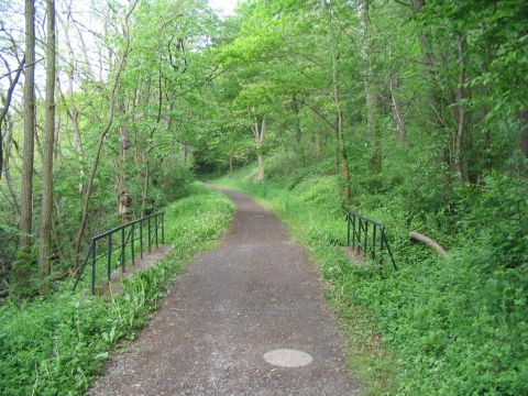 Brcke zwischen Grifte und Haldorf