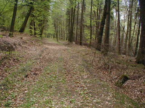 km 11,2