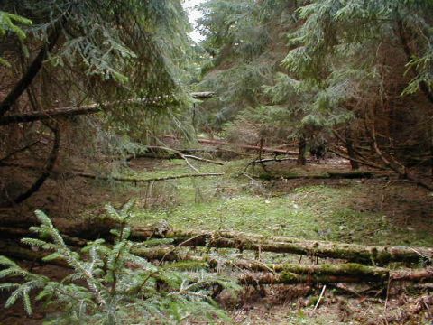 Weiterfahrt zum Kohlebunker