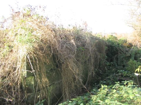 Brcke ber den Mhlengraben