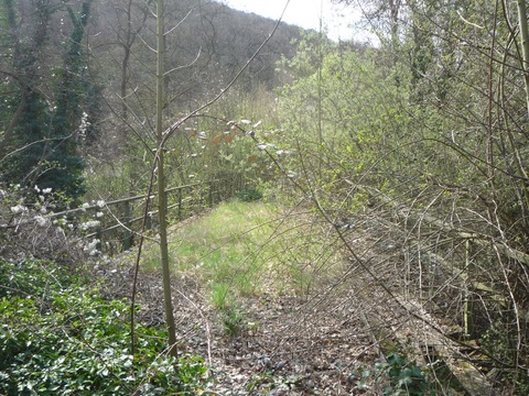 Brcke ber den Eckbach