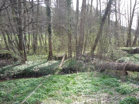 Brcke ber den Eckbach