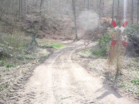 Bahnbergang zwischen Grnstadt und Sausenheim