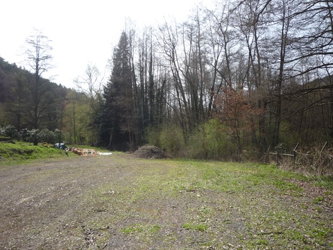 Zwischen Drahtzug und Altleiningen