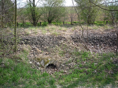 Bahnbergang zwischen Grnstadt und Sausenheim