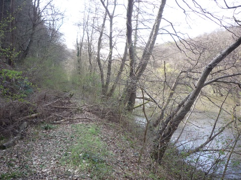 Zwischen Grnstadt und Sausenheim