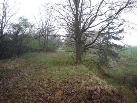 Zwischen Graben-Neudorf und Hochstetten