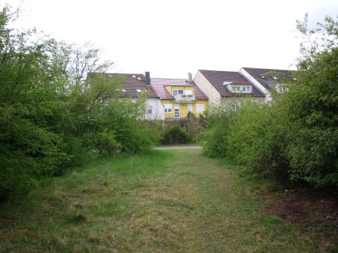 Zwischen Hochstetten und Linkenheim