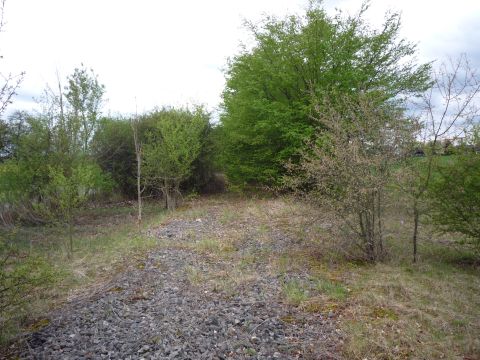 Zwischen Linkenheim und Leopoldshafen