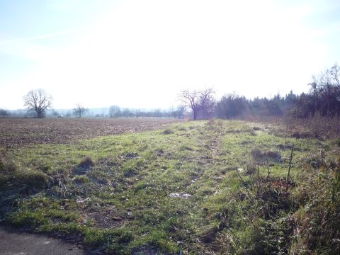 Ausfahrt Orschweier