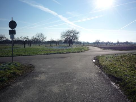 Zwischen Kappel und Grafenhausen