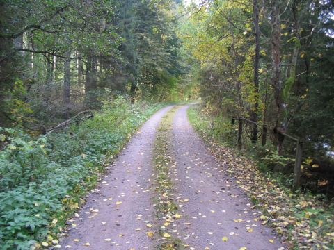 Brcke ber den Bach im Wilddobel