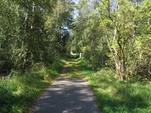 Zufahrt zum Torfwerk