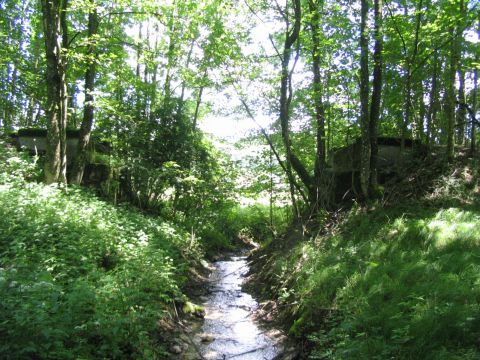 Bachbrcke bei Rimpach