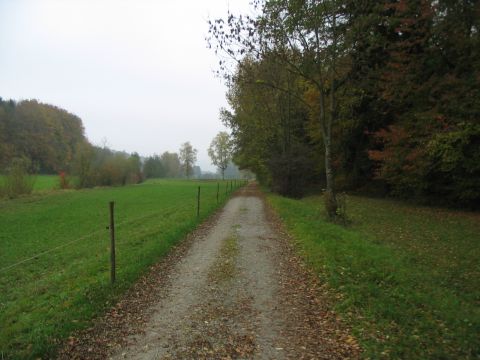 Zwischen Berg und Kappelhof