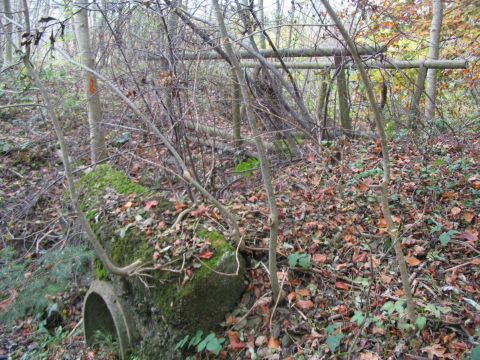 Ehemaliger Bachdurchlass im Riedholz