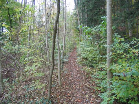 Zwischen Kappelhof und Anschluss Raderach