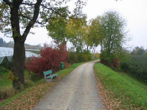 Zwischen Meistershofen und Berg