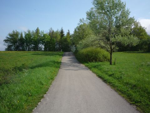 Ehemalige Weisse Brcke