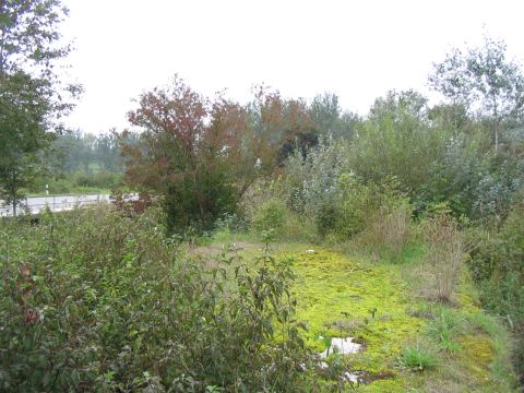 Brcke ber den Riedgraben