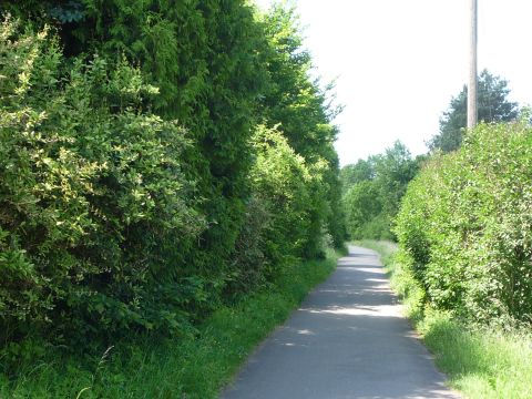 Haltepunkt Burkhardtsm�hle