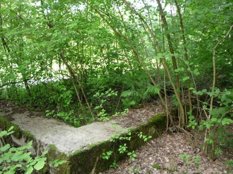 Haltepunkt Schl�sslesm�hle