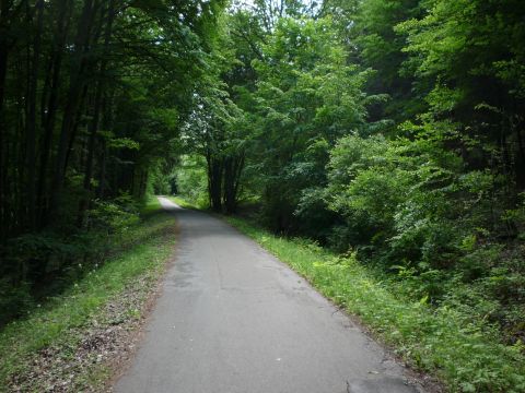 Zwischen Schl�sslesm�hle und Kochenm�hle