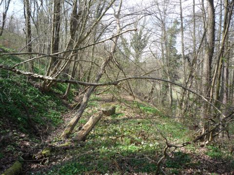 Zwischen Weiler-Ottenhausen und Pfinzbrcke