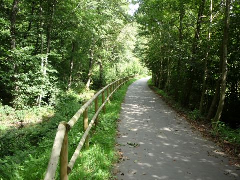 Zwischen Neckarsteinach Nord und Schnau Sd