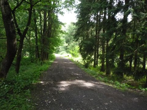 Zwischen Krumbach und Limbach
