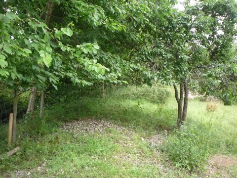 Zufahrt nach Laudenberg