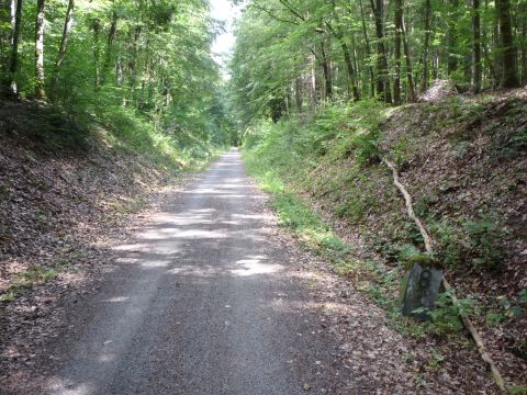 km 8,0