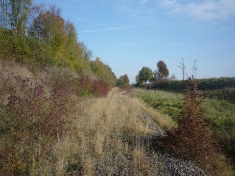 Zwischen Walldrn und Hpfingen